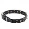 Leather Dog Collar with Skulls and 2 Rows of Spikes
