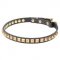 Narrow Leather Dog Collar with Brass Studs