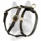 Luxury Handmade Leather Dog Harness for Schutzhund Training
