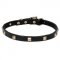 "Modern Style" Leather Dog Collar with Brass Studs