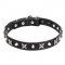 Leather Dog Collar with Shiny Nickel Plated Stars and Pyramids