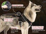 Elite Nylon Dog Harness-Field Top Notch Canine Training Equipment for All Dog Breeds