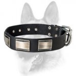 Extremely Fashionable Training Leather Dog Collar for Your Schutzhund Breed