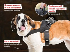 Multi-Purpose Lifetime Nylon Training Harness