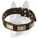 Designer Dog Leather Collar with Brass Covered Plates