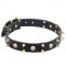 Dependable Leather Dog Collar with Spikes and Skulls