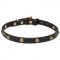 Leather Dog Collar with Goldish Brass Hardware