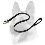 I-Grip High Quality Multifunctional Nylon Dog Leash