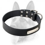 Custom Made Leather Dog Collar with ID Tag for Working Dog Breeds