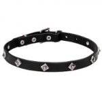 Narrow Leather Dog Collar with Chrome Plated Studs