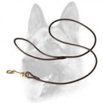 Splendid Round Leather Dog Leash
