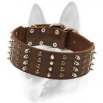 Working Dogs Spiked & Studded Collar - Wide Leather Special Dog Collar