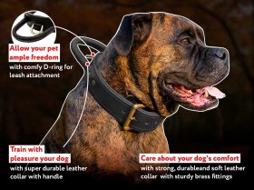 Schutzhund Agitation Leather Dog Collar For Ultimate Control Over Dogs