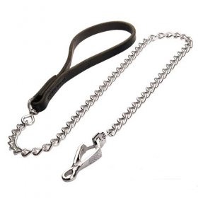 Stunning Dog Lead for Walking and Training