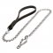 Stunning Dog Lead for Walking and Training
