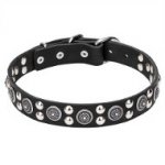 'Galactic Style' Dog Collar with Silver-like Circles and Round Studs