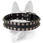 Unique Leather Dog Collar with Nickel-Plated Pyramids Set in 2 Rows