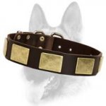 Luxury Leather Dog Collar for Schutzhund training