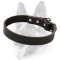 Designer Leather Dog Collar Meant For Schutzhund Training