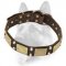 Worthy Leather Dog Collar Ornamented with Antiqued Plates and Pyramids