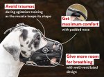 Super Light and Comfortable Leather Dog Muzzle for Attack/Agitation Training