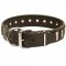 Stunning Leather Dog Collar Decorated with Classy Plates