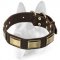 Designer Dog Leather Collar with Brass Covered Plates
