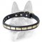 Special Leather Dog Collar with Plates for Schutzhund