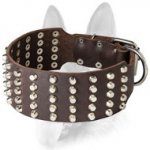 Extremely Wide Dog Studded Leather Collar