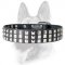 Silver-Like Pyramid Studded Leather Dog Collar for Schutzhund Training