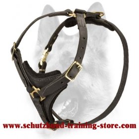 Tracking / Walking Leather Dog Harness-Padded Design Schutzhund Harness