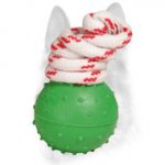 Water Playing and Training Full Rubber Dog Ball with Dotted Surface - Small