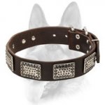 Winner Stylish Dog Leather Collar