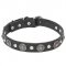 "Shiny Charm" Leather Dog Collar with Silver-Like Conchos and Half-Ball Studs