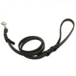 'Keep Closer' Leather Dog Lead with Stainless Steel Hardware