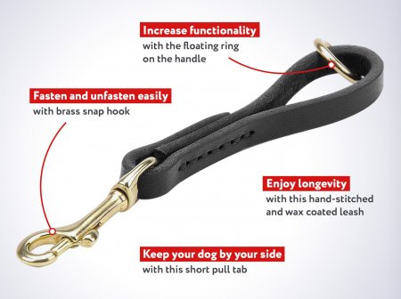Dependable Easy Fast Grab Dog Leash
