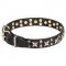 Leather Dog Collar with Old-Fashioned Stars and Studs