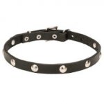 Leather Dog Collar with Half-Ball Chrome Plated Studs