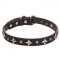 Leather Dog Collar with Old Bronze-plated Half-ball Studs and Stars