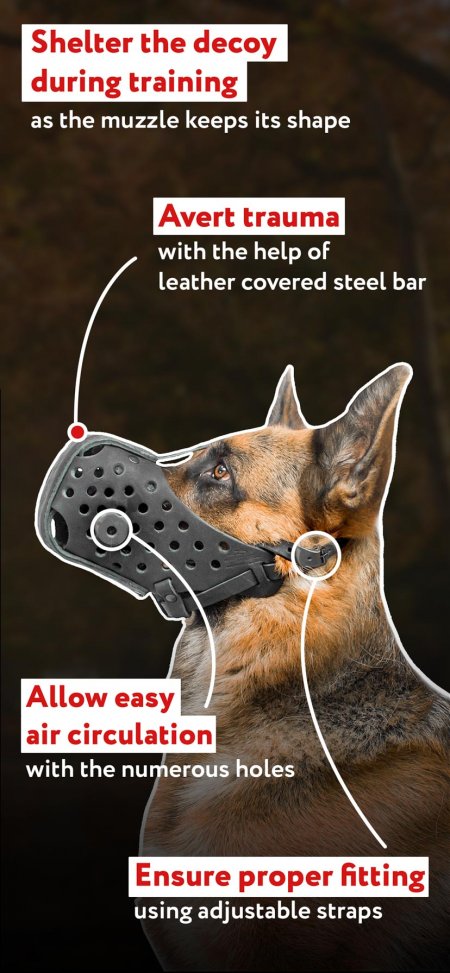 dog muzzle collar