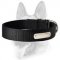 Have 2 Ply Nylon Dog Collar w/h name tag/Metal Buckle