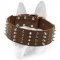 Working Dogs Spiked & Studded Collar - Wide Leather Special Dog Collar