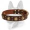 Splendid Dog Leather Collar with Brass-Covered Decorations