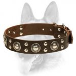 "Rock N Roll" Style Leather Dog Collar