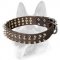 Splendid Leather Dog Collar Decorated with Spikes and Studs