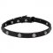 "Antique Flowers" Leather Dog Collar with Chrome Plated Round Studs