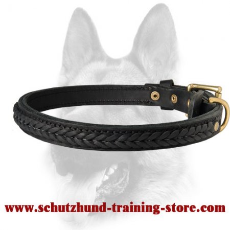 Most Beautiful Leather Collar for Working Dog Breeds
