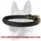 Most Beautiful Leather Collar for Working Dog Breeds