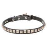 'King Studs' Leather Dog Collar with Chrome Plated Adornments