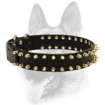 Bright Spiked Leather Dog Collar